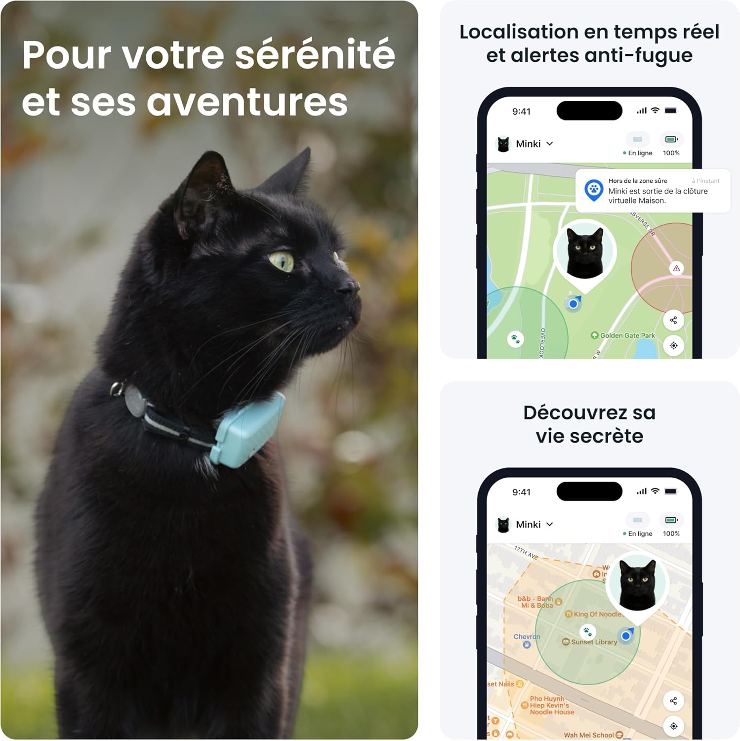 Collier GPS Chat Connecté Mini - N° 1 des GPS pour Chats - Localisation en Direct - Historique de Localisation et Fonction Territoire - Collier de Sécurité Inclus (Menthe)