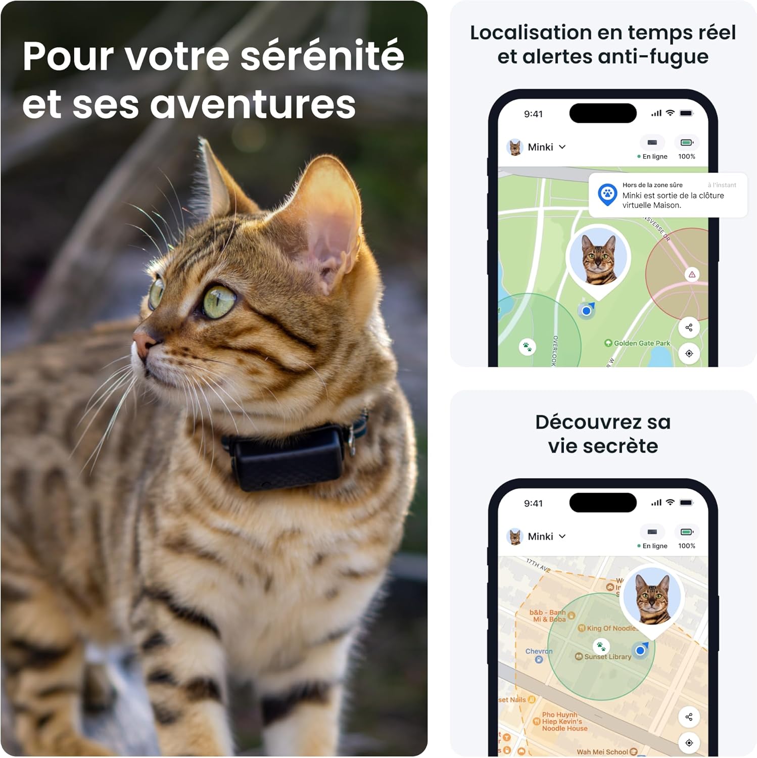 Collier GPS Chat Connecté Mini - N° 1 des GPS pour Chats - Localisation en Direct - Historique de Localisation et Fonction Territoire - Collier de Sécurité Inclus (Bleu foncé)