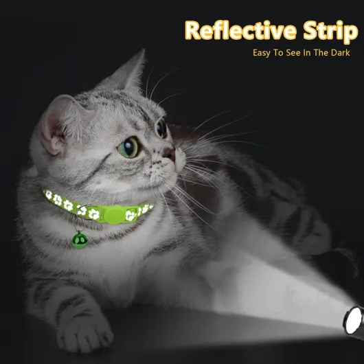 61LUIQR4myL._AC_SL1500_