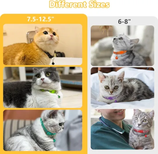 71P0lrjK8mL._AC_SL1500_