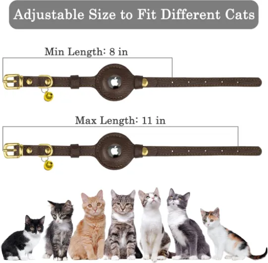 81y1g5wUuEL._AC_SL1500_