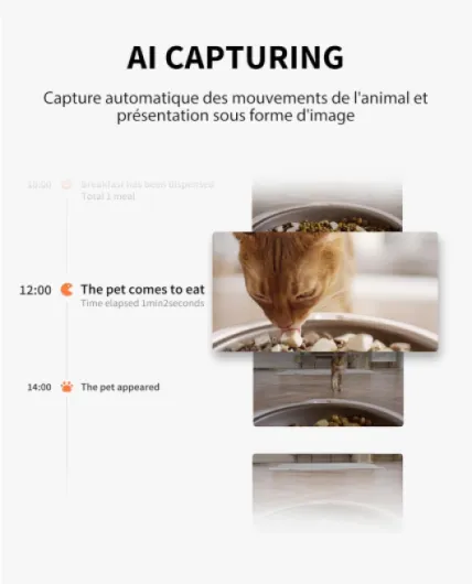 61FRelKpENL._AC_SL1500_