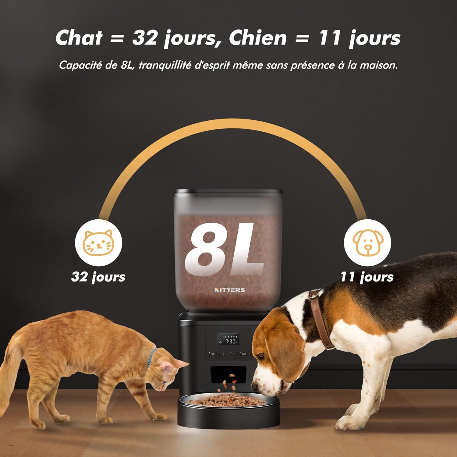Distributeur Croquettes Chat et Chien Automatique, 8L Grande Capacité, 1-6 Repas par Jour, avec Cuve en Acier Inoxydable, Enregistreur Vocal 10s Noir Un bol