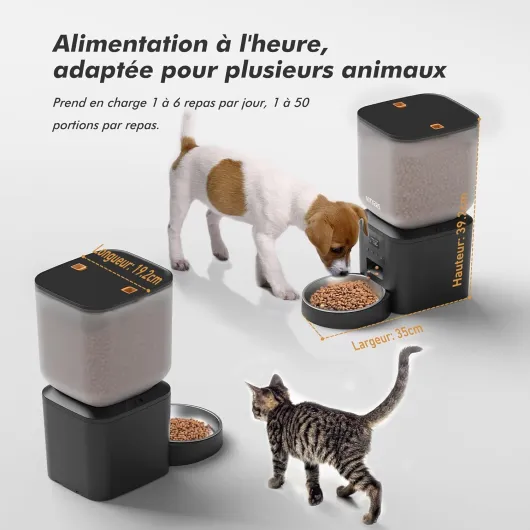 71TbHXWtKjL._AC_SL1500_