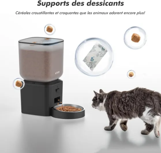 71Xw6mUmOSL._AC_SL1500_