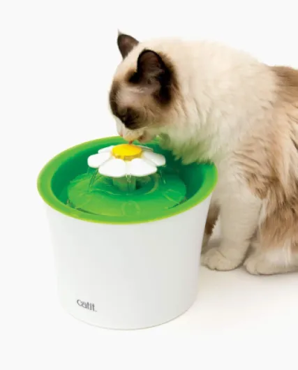 Cat it Fontaine à fleurs originale avec fenêtre de niveau d'eau, 3 litres Unique