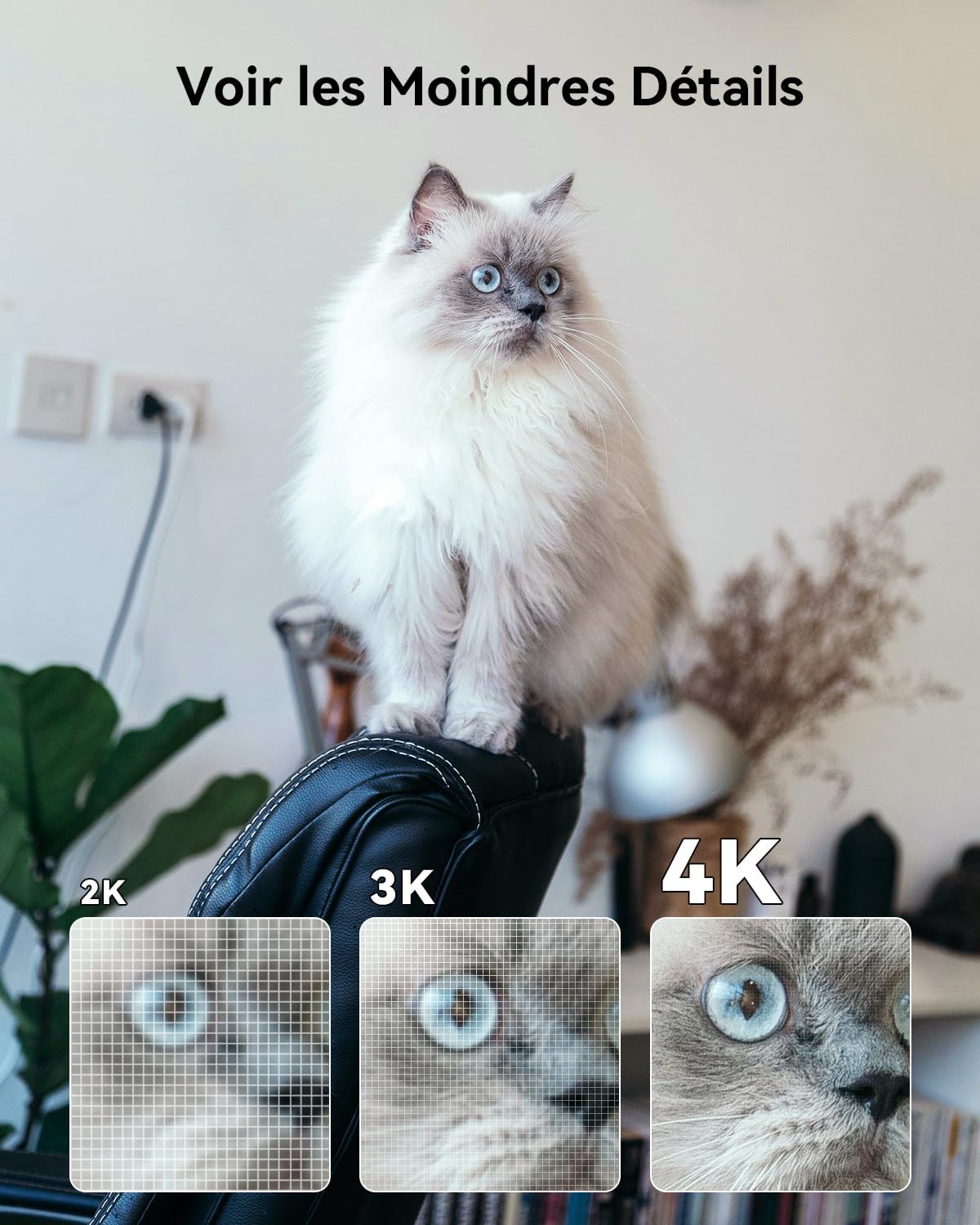4K(8MP) Caméra Surveillance WiFi Interieur Caméra 360° Connectée Détection Humaine/Animale AI Suivi Intelligent Mode Privé Audio Bidirectionnel Compatible Alexa pour Bébé Rex 3d 8mp