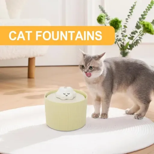 Test Fontaine À Eau pour Chat : une solution pratique pour l'hydratation de votre félin