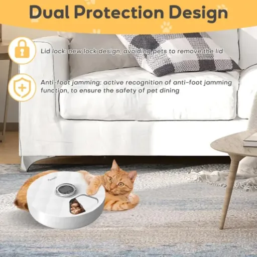 Test Auveach Distributeur Croquettes Chat : Le compagnon alimentaire automatique pratique