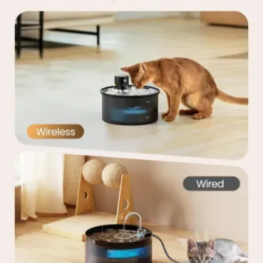 Test Fontaine à Eau Chat VKIMISS : l'option sans fil qui simplifie la vie de votre félin