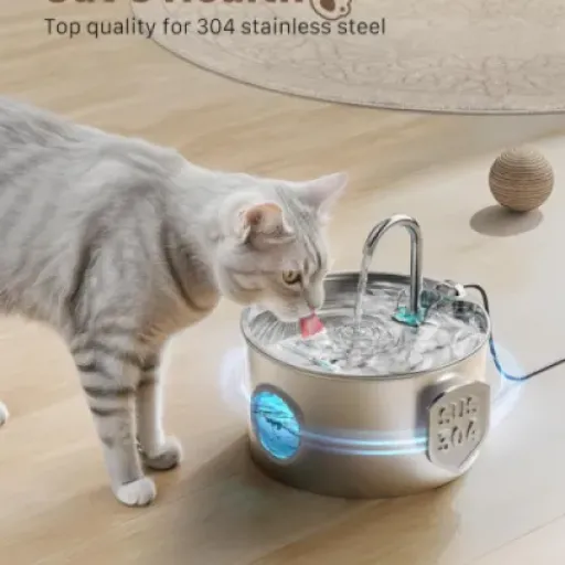 Test de la Fontaine à Eau Chat INOX GIOTOHUN : simplicité et efficacité au rendez-vous.