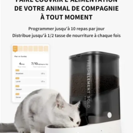 Test PETKIT Distributeur Automatique : Le compagnon qui nourrit vos animaux à votre place