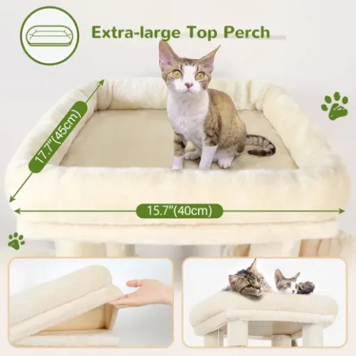 Test Globlazer Arbre à Chat Beige : le choix pratique pour vos félins