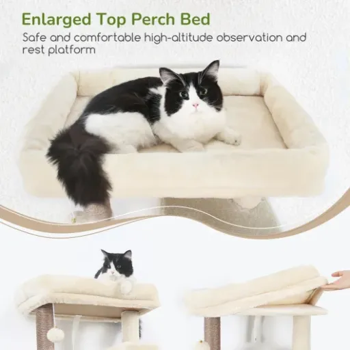 Test Globlazer Arbre à Chat : un refuge XXL pour vos félins.