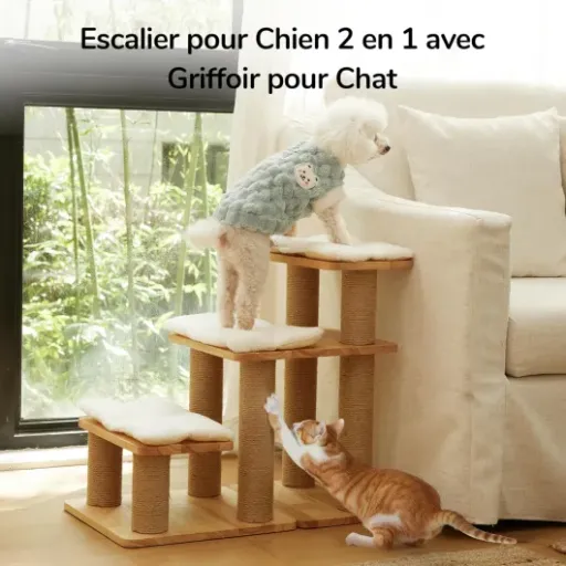 Test FUKUMARU Échelle pour Chat et Chien : l'accessoire pratique pour vos compagnons à quatre pattes