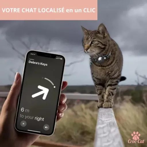 Test du Collier Chat Compatible Apple AirTag : une solution efficace pour localiser votre félin ?