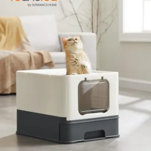 Test Bac à Litière Fermé Feandrea : une solution pratique pour les grands chats