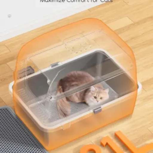 Test MeoWant Bac à Litière XXL : l'acier inoxydable au service de nos félins