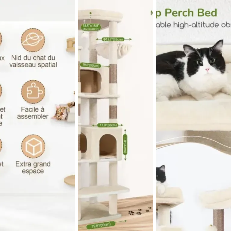Top 53 : meilleurs arbres à chat haut de gamme (2026)