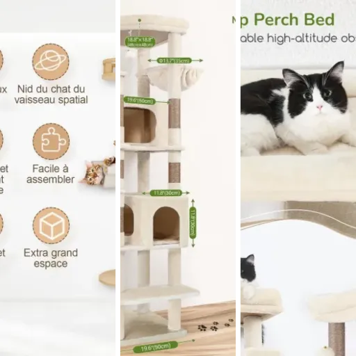 Top 31 : meilleurs arbres à chat haut de gamme (2026)