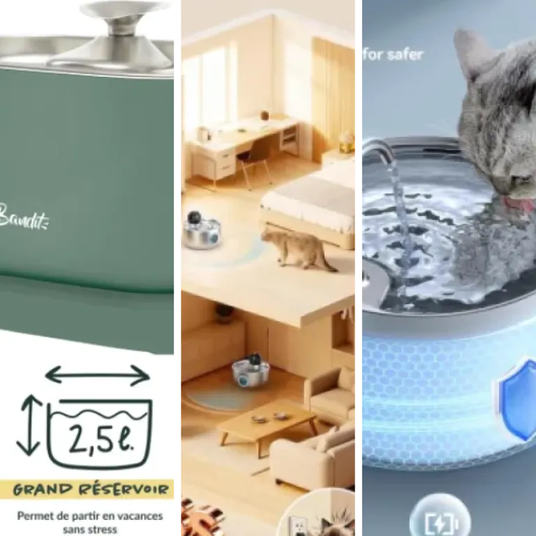 Les meilleurs fontaines pour chat avec filtration avancée : notre top 17 (2026)