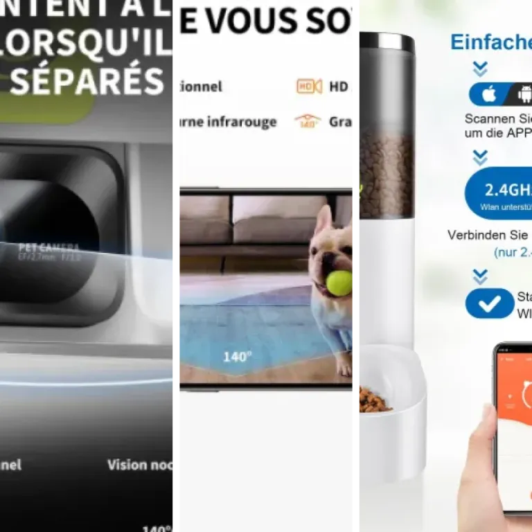 Classement des 16 meilleurs distributeurs pour chat avec caméra intégrée (2026)