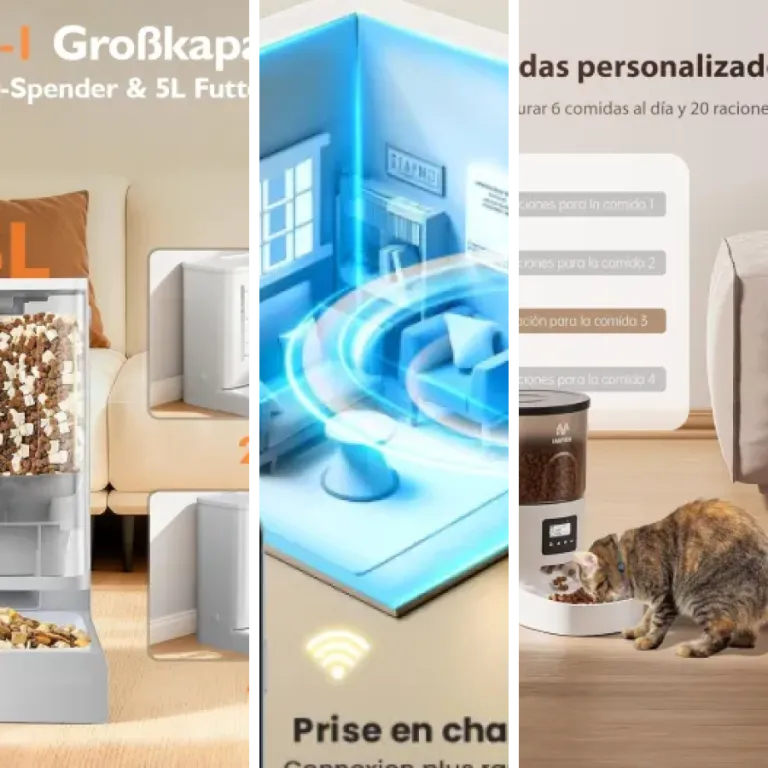 42 meilleurs distributeurs automatiques connectés pour chat : notre comparatif (2026)