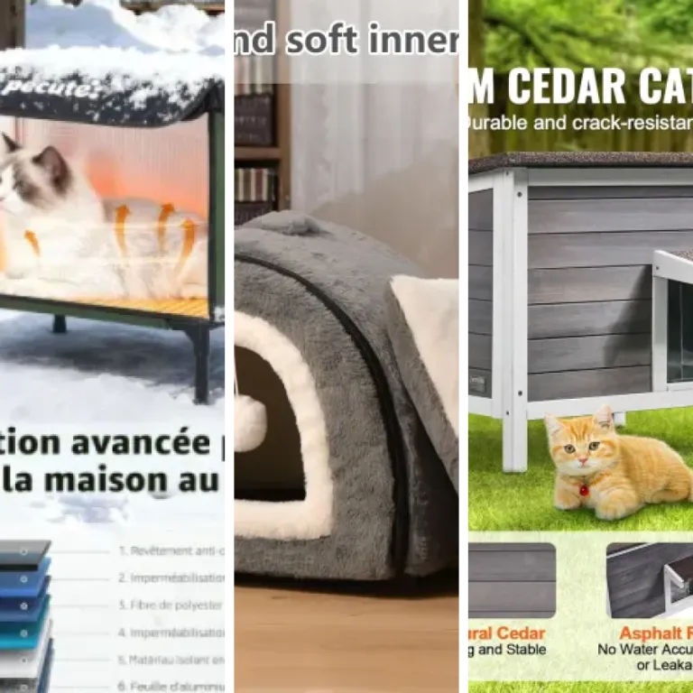 Quel abris isolés premium pour chat choisir ? Top 20 (2026)