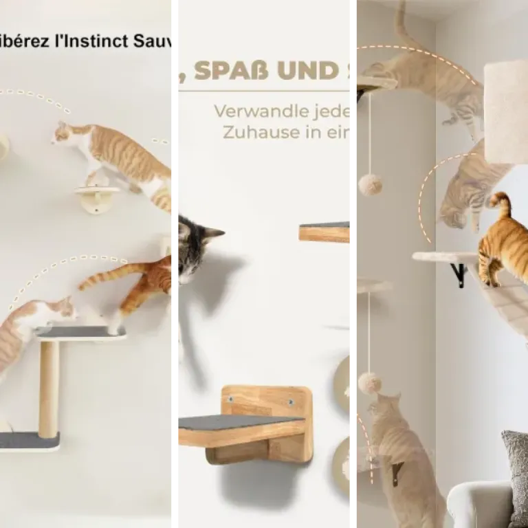 8 meilleurs murs d’escalade modulaires pour chat : notre comparatif (2026)