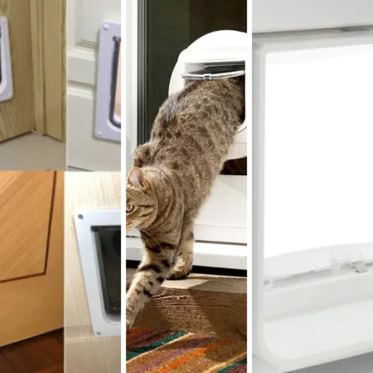 Top 15 des meilleurs chatières à reconnaissance électronique pour chat (2026)