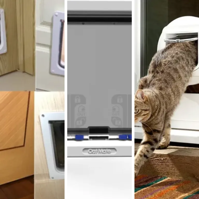 Les 16 meilleurs chatières connectées pour chat (2026)