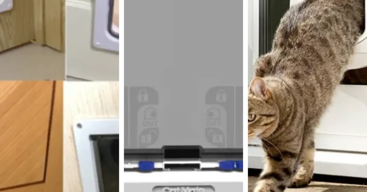 Les 17 meilleurs chatières connectées pour chat (mai 2026) — free download