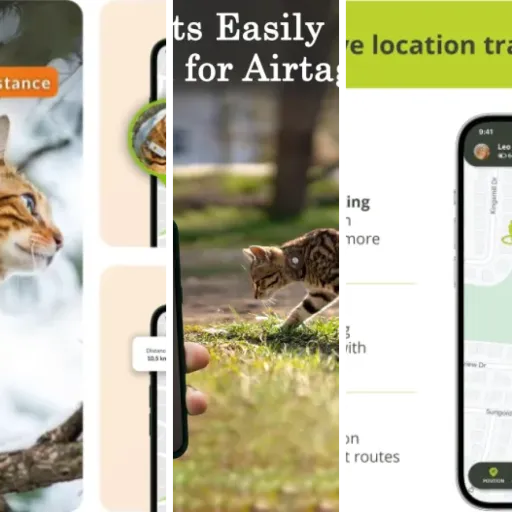 Classement des 5 meilleurs colliers GPS pour chat avec abonnement (2026)