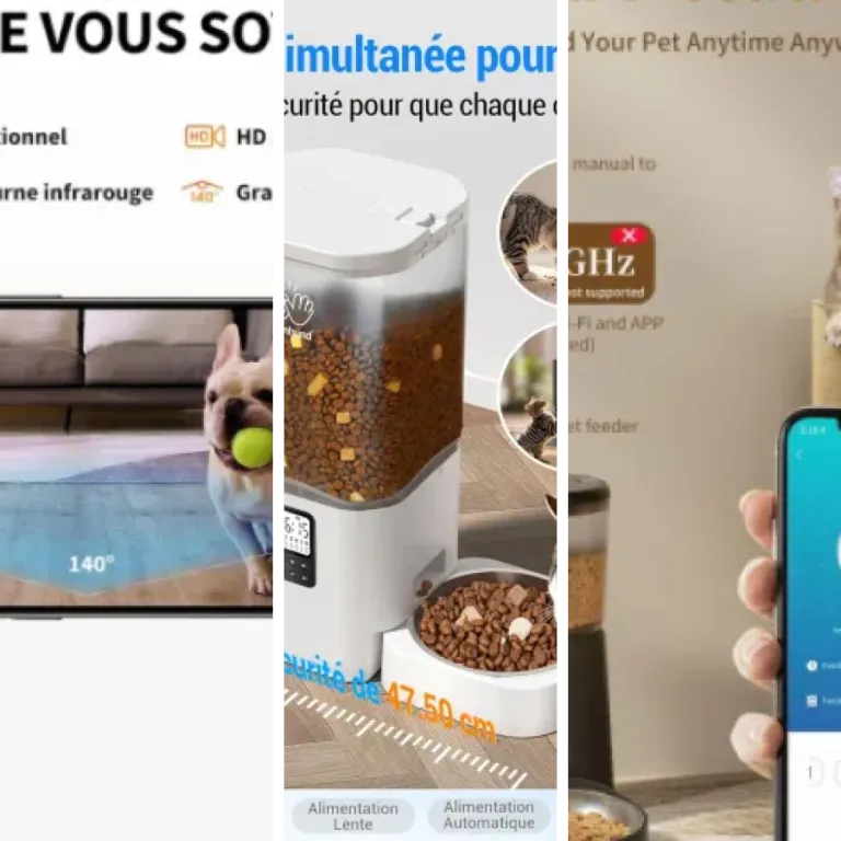 Les 13 meilleurs distributeurs programmables à distance pour chat (2026)