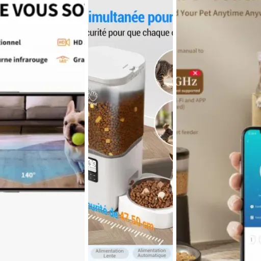 Les 7 meilleurs distributeurs programmables à distance pour chat (2026)
