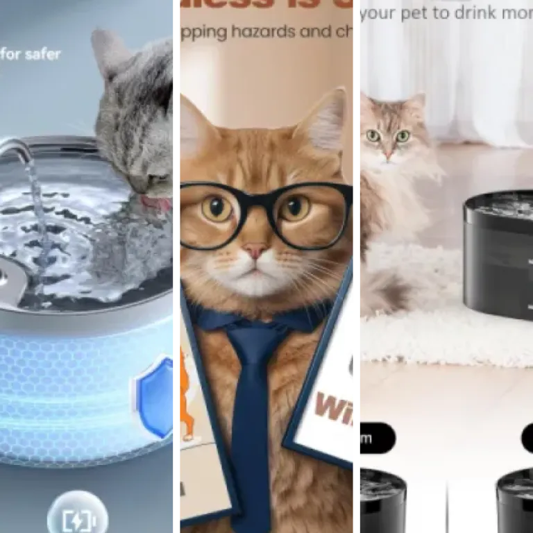 Notre sélection des 12 meilleurs fontaines silencieuses premium pour chat (2026)