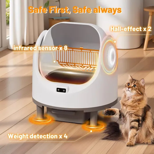 81bN6yfLPTL._AC_SL1500_