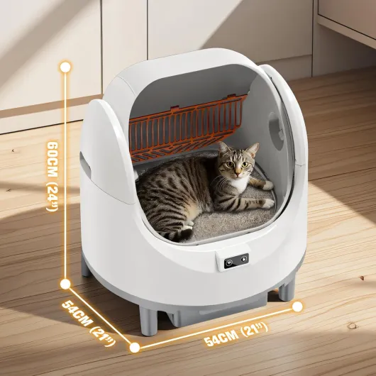 71Kwm66jw9L._AC_SL1500_