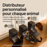 Test PETLIBRO RFID Smart Feeder : le distributeur pour chats qui évite que le plus glouton bouffe tout