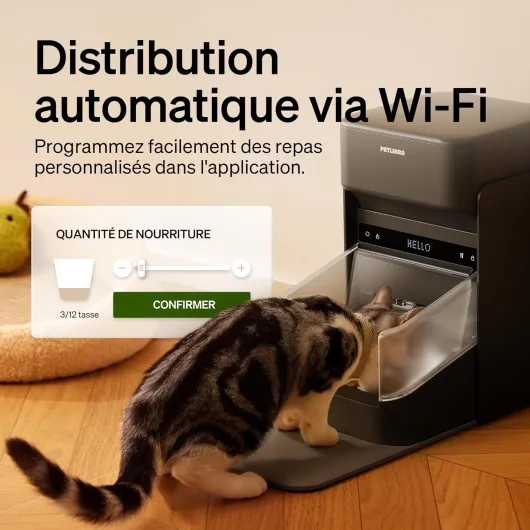 81t977mdILL._AC_SL1500_