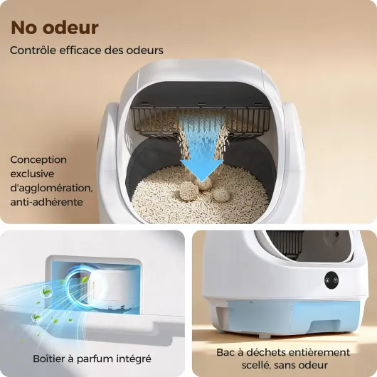 71nBfJGLstL._AC_SL1500_