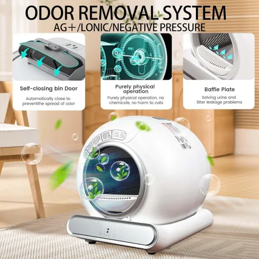 71hl6-WgfgL._AC_SL1500_