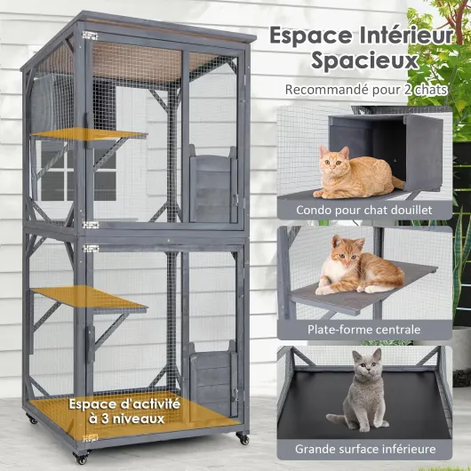 81JrQ0TL9tL._AC_SL1500_