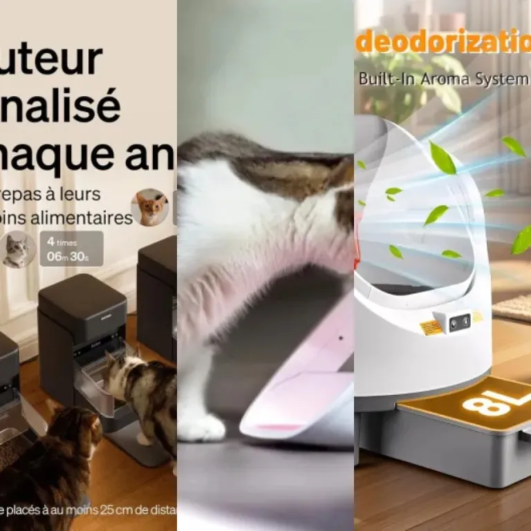 Quel systèmes de collecte automatique pour chat choisir ? Top 5 (2026)