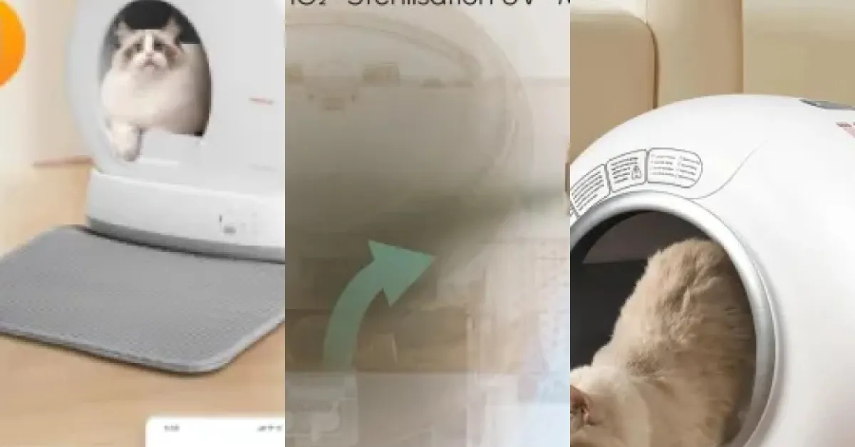 Top 4 des meilleurs litières intelligentes pour chat multi-chats (avril 2026)