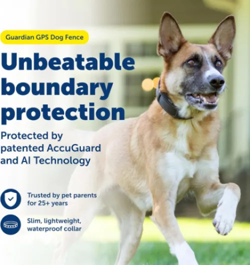 Guardian Clôture GPS pour Chien – Pas d'abonnement – Créez Votre Propre clôture sans Fil pour Chiens – pour Les Verges de 3/4 Acres ou Plus – La Technologie GPS de clôture pour Chien la Plus Kit de clôture GPS Guardian