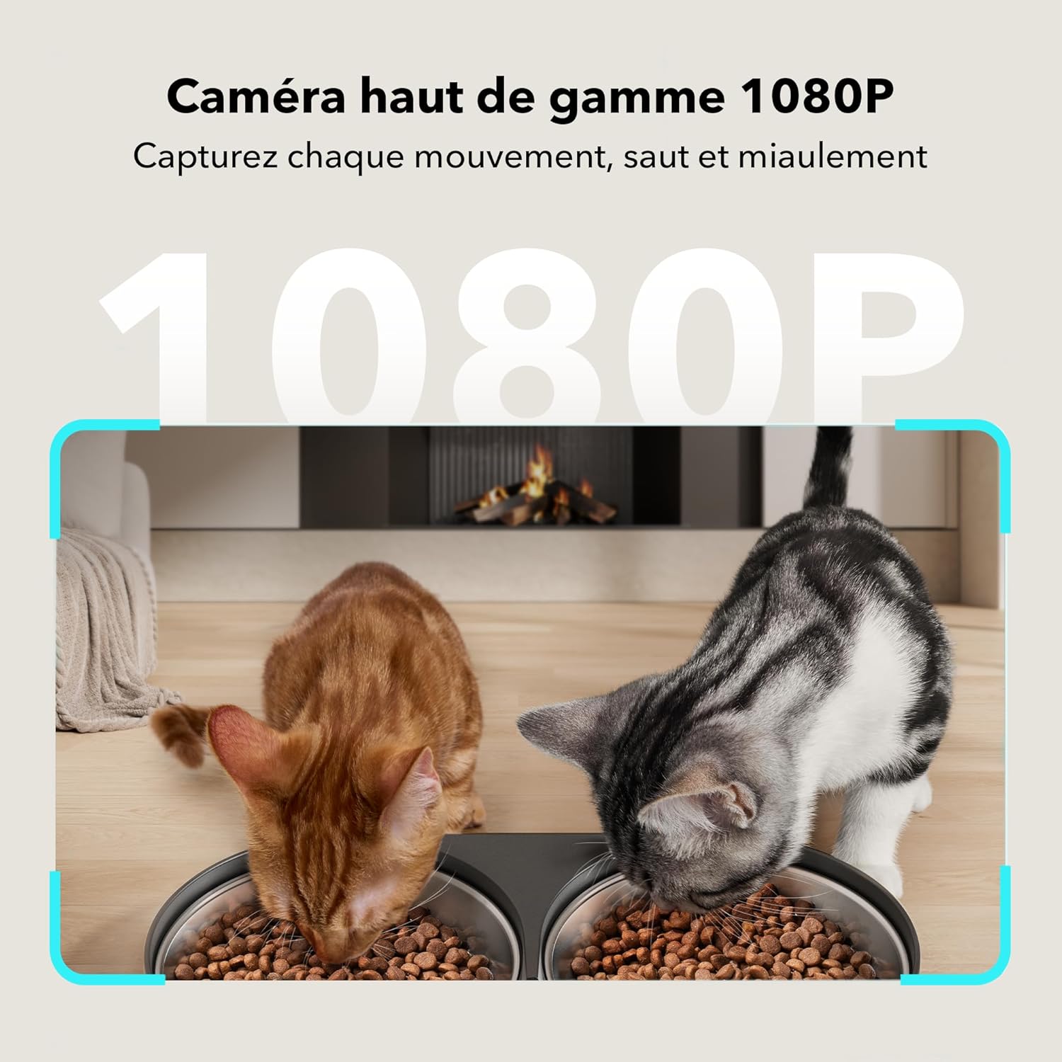 Distributeur Croquettes 2 Chat avec 1080P Camera, 5G et 2.4G WiFi Mangeoire Automatique pour Animaux avec Bols en Acier Inoxydable, Gamelles pour Chats ou Chiens Noir 5 L Camera double bols