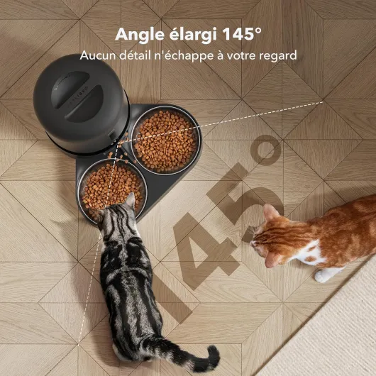 91h50heVS6L._AC_SL1500_
