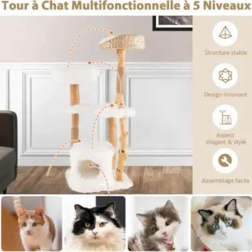 Test GOPLUS Arbre à Chat 124 cm : un arbre en bois massif qui tient bien la route dans le salon