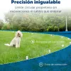 Test PetSafe Système Anti-Fugue Sans Fil : pratique, efficace… mais pas magique